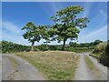 Junction, to the west of Seckington