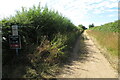 Bridleway to New Farm