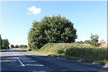 SO7631 : Ledbury Road, Playley Green by David Howard