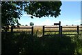 Footpath to Carthorpe