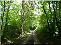 Minor road to Ebberley Cross