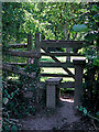 Stile north of Wrottesley Home Farm in Staffordshire