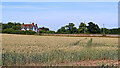 Wheat fields south-west of Oaken in Staffordshire