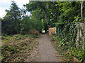 Public footpath 20W, Copthorne