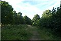 Path near Fulford Cross Allotments