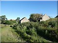 Old  barns at Todd Hill Farm