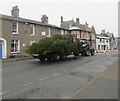 SO2118 : Christmas trees in transit, Crickhowell by Jaggery