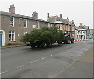 SO2118 : Christmas trees in transit, Crickhowell by Jaggery