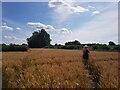 Walkers on the Millennium Way near Upton Snodsbury