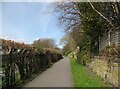 Footpath near Carlisle Cricket Ground