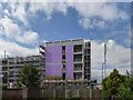 SK5539 : Triumph House StudyInn Student Accommodation by SK53