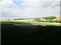 Park Farm seen from the shadow of Epperstone Park