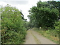 Bridleway towards Oxton