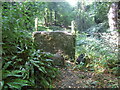SO8803 : Stone Stile Toadsmoor Woods, Chalford GS9284 by Hugh Tarran