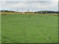 NT2390 : New grass field near Lambert's Mill by M J Richardson