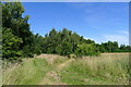 The edge of Londonthorpe Wood