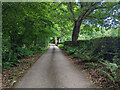 A narrow finger of Copthorne Common