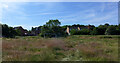 Overgrown sports field behind Spen Valley Leisure Centre, Liversedge