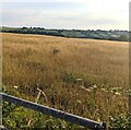 View from a field gate near Earlswood, Monmouthshire