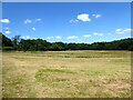 Barn Meadow