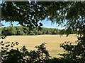 Farmland near Wroughton