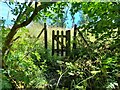 Start of a footpath above Earl Sterndale