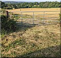 7-bar field gate near Shirenewton