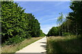 Cycle path through Londonthorpe Wood