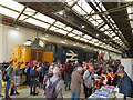 DRS Gresty Bridge depot open day