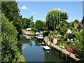 Weybridge - River Wey