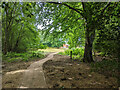 New path, Crawley Down