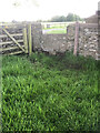 ST9295 : Stone Stile, Culkerton by Fay Britton