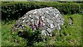 Llanllawer Holy Well