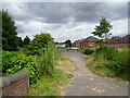 Herberts Park Houses 