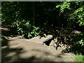 Footbridge across a dry stream