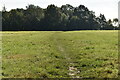 Footpath across field