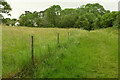 Field and trees by Hallen Road