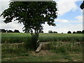 Footbridge near Epperstone