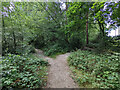 Paths in Copthorne Upper Common