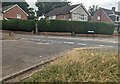 Dark green hedges on a Malpas corner, Newport