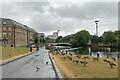 Derby: Canada geese and the Council House