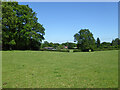 View towards Forest Barn Farm