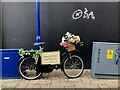 Floral display on bike, Coleraine