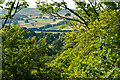 Allen Banks : view over Ridley Hall