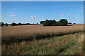 TG0834 : Field by Briston Road by Hugh Venables