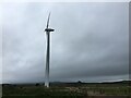 Large wind turbine