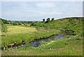 River Nith view