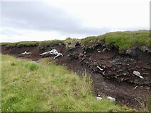 NC7620 : Dried out peat bank, Strath Skinsdale by Richard Webb