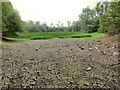 Pantllyn Turlough, dried out