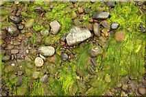 NH7459 : Rocks and gravel on the beach near Scart Craig by Julian Paren